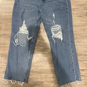 Cropped Wild Fable Distressed jeans